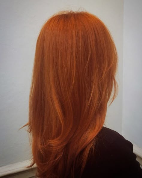 Orangish Red Hair, Orange Hair Aesthetic, Orange Hair Color Ideas, Orange Hair Color, Orange Hair Dye, Hair For Beginners, Cheveux Oranges, Orange Power, Hair Ginger