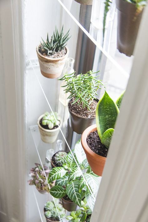 Black thumb be damned, I love filling my home with plants. Prickly cactus, chubby-leaved succulents and sprawling ivy are my favorite types of greenery. Mainly because they are the easiest to care for Diy Window Shelf, Indoor Window Planter, Kitchen Window Shelves, Shelves Light, Window Shelves, Window Plants, Smart Tiles, Indoor Window, Regal Design