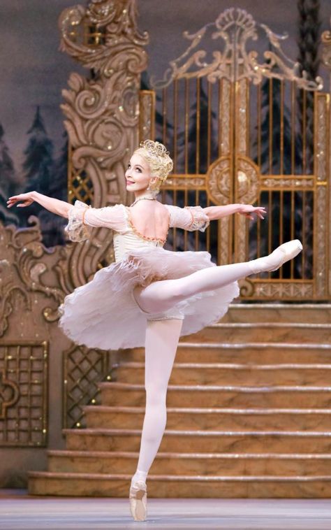 The path to becoming the Sugar Plum Fairy involves more than drilling the steps. Tari Balet, Sarah Lamb, Grand Prince, Ballet Pictures, Chloe Lukasiak, Ballet Beauty, Ballet Poses, Ballet Inspiration, Boris Vallejo