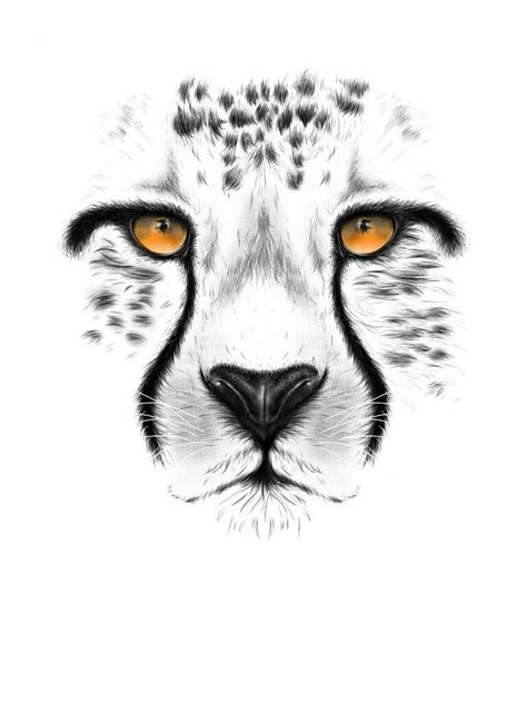 Leopard Drawing Sketch, Cheetah Drawing Sketches, Cheetah Sketch, Chevron Phone Wallpapers, Leopard Sketch, Snow Leopard Drawing, Cheetah Painting, Snow Leopard Art, Cheetah Drawing