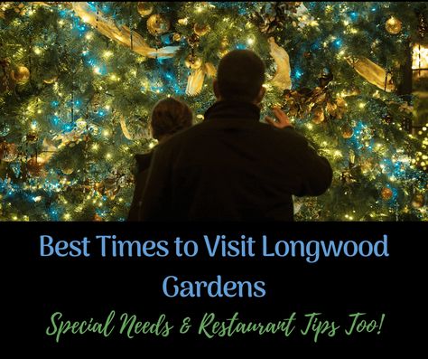 {Longwood Gardens} Best Time to Visit 7 other Secrets to Know Before you Go. Longwood Gardens Christmas, Sensory Christmas, Iep Organization, Winter Classroom, The Fame, Christmas Event, Longwood Gardens, Garden Christmas, Christmas Activities For Kids