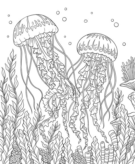 Jellyfish Colouring Page, Ocean Themed Coloring Pages, Aquarium Coloring Page, Ocean Colouring Pages, Watercolor Pages, Ocean Coloring Pages For Adults, Jellyfish Coloring Page, Color By Number Printable Free, Abstract Tattoo Ideas