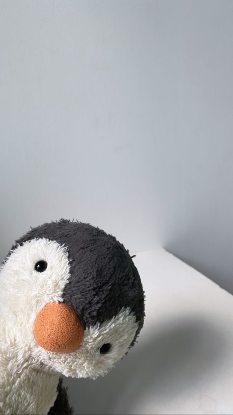 Penguin Wallpaper Iphone, Penguin Wallpaper Iphone Aesthetic, Cute Penguin Wallpaper, Lany Penguin, Cat Iphone Wallpaper, Fluffy Stuffed Animals, Penguin Wallpaper, Jelly Cat, Frog Wallpaper