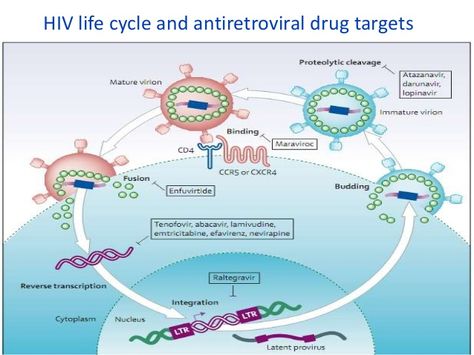 Hiv Life Cycle, Antiretroviral Therapy, Journal Lists, Medical School Studying, Royal Society, Transcription, Life Cycle, Medical School, Life Cycles