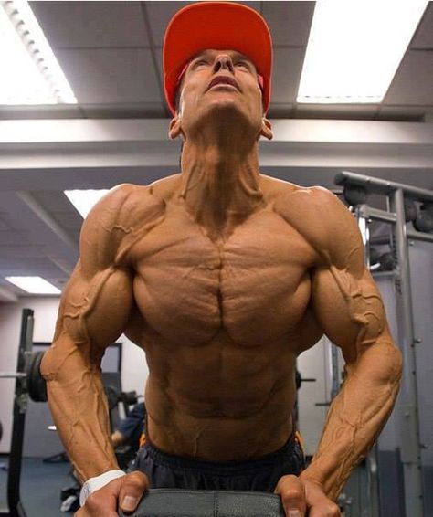 Talk shredded and dry!!!!!!!! Freaking lean right here!!! Helmut Strebl, Man Anatomy, Chest Muscles, Body Building Men, Anatomy Study, Anime Warrior, Fitness Bodybuilding, Body Fitness, Anatomy Reference