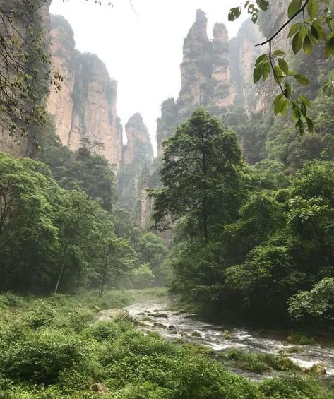 Zhangjiajie, Adventure Aesthetic, Chinese Landscape, Pretty Landscapes, Landscape Drawings, Landscape Pictures, Environment Design, 판타지 아트, Beautiful Places To Visit