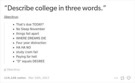 Hilarious Posts About College - 100 Memes and Funny Pictures College Life Humor, University Memes, Funny College Memes, College Stories, Funny College, Funny Tumblr Stories, Studying Memes, College Memes, College Quotes