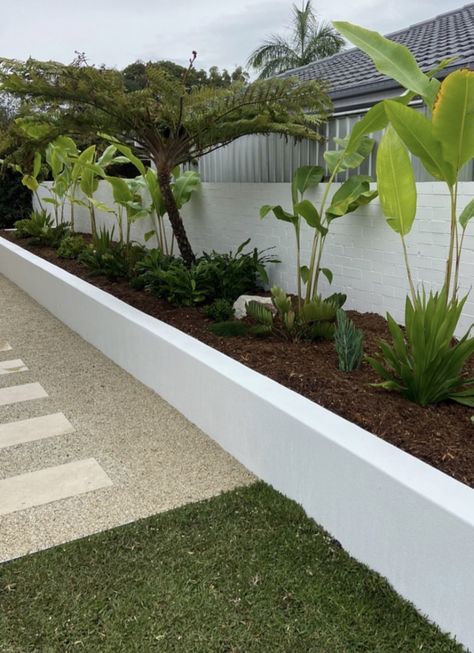 White Garden Wall, White Walled Garden, Aesthetic Small Backyard, White Fence Backyard Landscaping, White Retaining Wall Garden, Bougainvillea On Fence, Medditeranean Backyard, White Retaining Wall, Limestone Retaining Wall