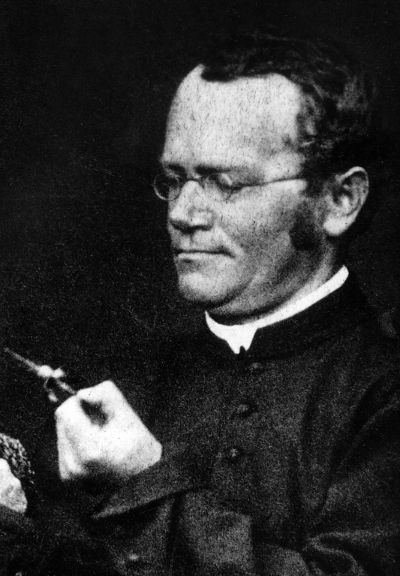 Geneticist, biologist and Catholic monk Johann Gregor Mendel (1822-1884). Mendel is credited for founding the science of genetics by discovering the first laws of heredity. Scholarly Academia, Gregor Mendel, Extraordinary People, Inventors, Brno, Microbiology, Doctor Medical, The Science, Frankenstein