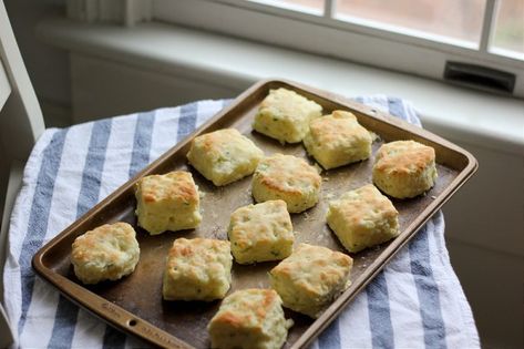 Sour Cream and Onion Biscuits | Southern Soufflé Onion Biscuits, Biscuits Southern, Tea Bread, Season Of Giving, How To Make Biscuits, Garlic Bread Recipe, Southern Culture, Southern Dishes, Cheesy Bread