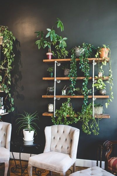 In line with their all-natural tendencies, plants add an extra bit of life and freshness to the salon decor. Plants On Shelves, Hair Salon Interior Design, Salon Interior Design Ideas, Pedicure Station, Nail Salon Interior Design, Beauty Salon Interior Design, Hair Salon Interior, Interior Design Pictures, Salon Suites Decor