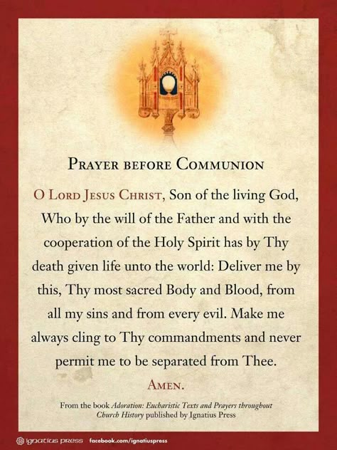 Prayer Before Communion Communion Prayer, Catholic Prayers Daily, Catholic Beliefs, Eucharistic Adoration, Powerful Prayers, Christmas Child, Operation Christmas, Rosary Prayer, Miracle Prayer