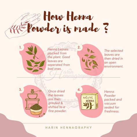 How henna powder is made from the plant How To Make Henna Powder, Henna Tips, Henna Classes, Henna Business, Henna Tree, Henna Recipe, How To Make Henna, Mehndi Tutorial, Henna Practice