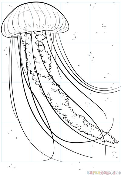 Draw A Jellyfish, Jellyfish Jewelry, Jellyfish Illustration, Jellyfish Photography, Ocean Drawing, Jellyfish Painting, Jellyfish Drawing, Jellyfish Print, Fish Coloring Page