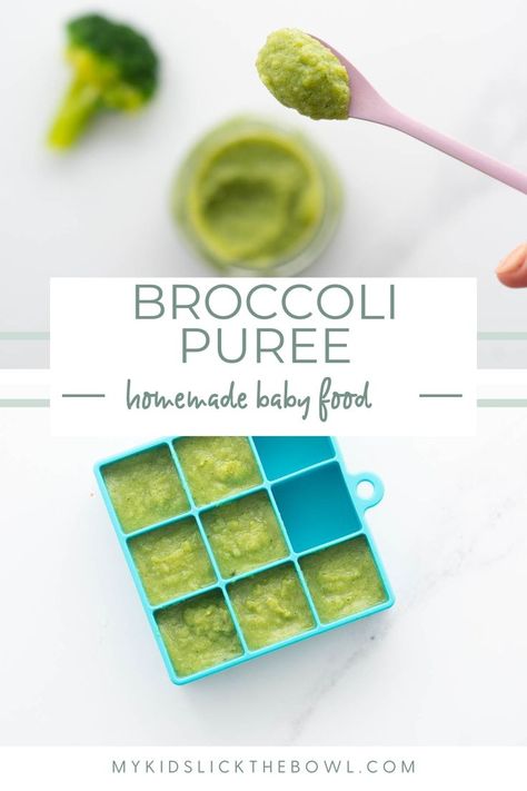 Broccoli is a nutritious green vegetable, which makes broccoli puree a great first food for babies. Baby Vegetable Puree, Broccoli Puree Baby, Broccoli Baby Food Recipe, Broccoli For Baby, Broccoli Baby Food, Baby Broccoli Recipe, Finger Foods For Babies, Broccoli Puree, Make Your Own Baby Food