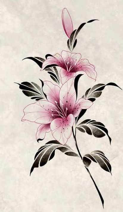 Sakura Cherry Blossom Drawing, Chinese Flowers Drawing, Flower Hand Tattoos For Women, Cataleya Flower Tattoo, Azalea Flower Tattoo, Exotic Flower Tattoos, Cherry Blossom Tattoo Design, Stargazer Lily Tattoo, Pink Flower Tattoos