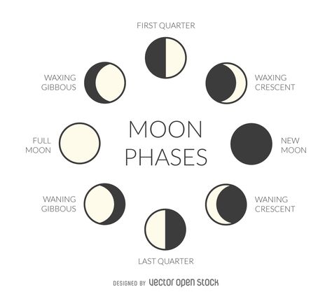 Illustrated moon phases. Download Large Image 1324x1165px Moon Phases Drawing, Witchy Lifestyle, Tata Surya, Moon Phases Art, Moon Icon, Idee Cricut, Lunar Phase, Moon Drawing, Phases Of The Moon