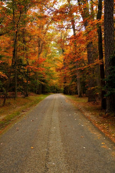 Yorktown, Virginia Virginia Towns, Virginia Aesthetic, Yorktown Virginia, Autumn Adventures, Virginia Fall, Virginia Photography, Virginia Vacation, Motorcycle Rides, Landscaping Software