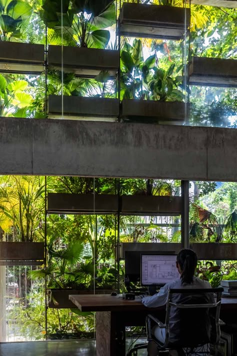 Urban Farming Office: More than a ‘vertical garden’ Cohabitation Architecture, Plaza Architecture, Urban Greening, Vtn Architects, Vo Trong Nghia, Concrete Office, Vegetables Farm, Green Architect, Urban Heat Island