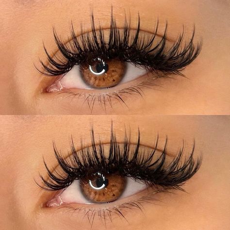 Lens Eyes, Natural Fake Eyelashes, Lash Mapping, Lashes Fake Eyelashes, Eyelash Tips, Lash Styles, Lash Extensions Makeup, Professional Eyelash Extensions, Lash Extensions Styles