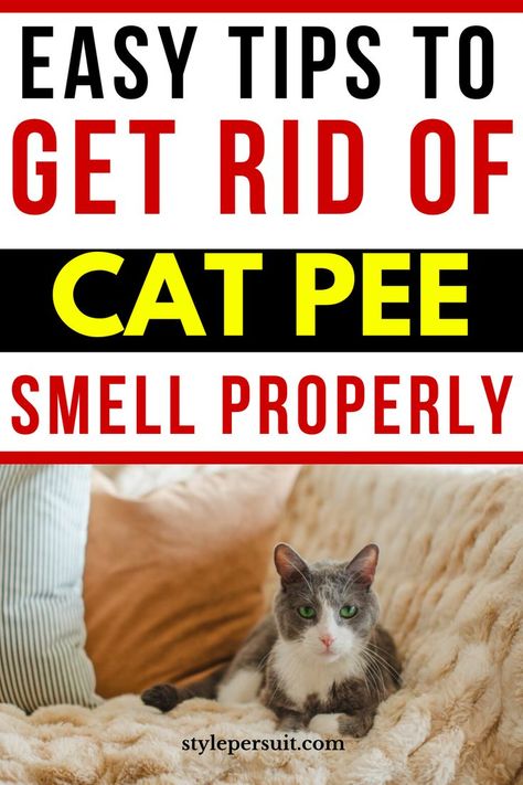 Cat urine odor can be persistent and challenging to remove, leaving your home smelling unpleasant. Whether it's due to marking territory, accidents, or other reasons, getting rid of the cat pee smell permanently requires thorough cleaning and targeted strategies. Checkout these effective methods to help you banish the odor for good and enjoy a fresh-smelling home once again. How To Remove Cat Urine From Couch, Remove Cat Urine Smell From Couch, Cat Pee Smell Removal From Couch, Get Rid Of Cat Pee Smell, Removing Cat Urine Smell, Cat Pee Smell Removal, Remove Cat Urine Smell, Pet Urine Smell, Dog Pee Smell