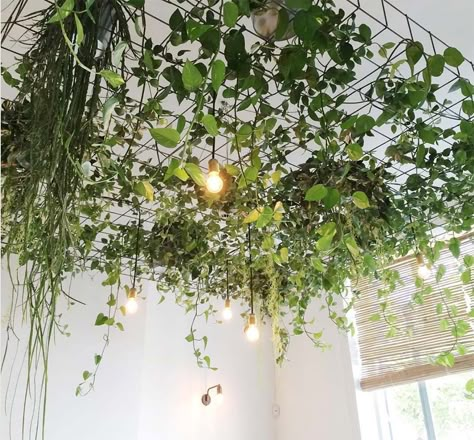 17 Unique Ceiling Design Ideas for Interior Design - Unika Vaev Ceiling Plants, Unique Ceiling Ideas, Plant Ceiling, Hang From Ceiling Decor, Deco Spa, Interior Design Plants, Flower Ceiling, Balkon Decor, Plants Hanging