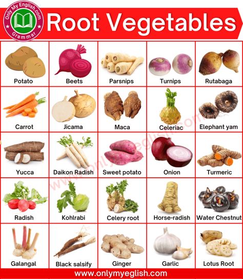 Types Of Root Vegetables, Root Vegetables List, Satvic Movement, Learning Cooking, Vegetables Names With Pictures, Vegetables Name, Edible Stem, Cookbook Club, Name Of Vegetables