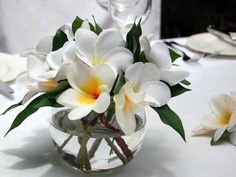 Caribbean Table Decorations, Frangipani Table Decorations, Frangipani Flower Arrangement, Plumeria Wedding Decorations, Frangipani Wedding Decorations, Tropical Wedding Ideas Inspiration, Plumeria Centerpiece, Small Tropical Wedding, Unique Wedding Table Centerpieces