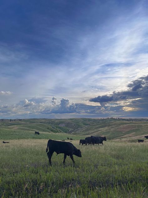 Nebraska Aesthetic, Transcendent Kingdom, Riley Aesthetic, Midwest Landscape, Midwest Aesthetic, Post College Life, 50 States Travel, South Usa, American States