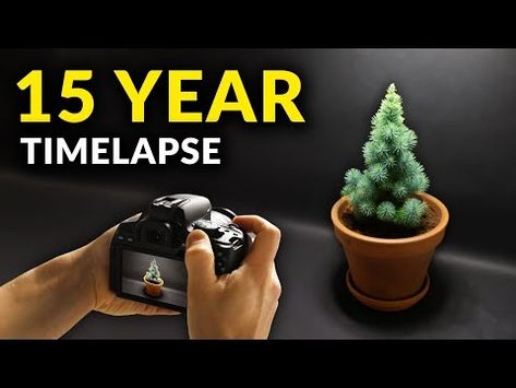 (3) I Filmed Plants For 15 years | Time-lapse Compilation - YouTube Plant Growing, Chamber Music, Music Playing, Different Plants, Time Lapse, Cool Plants, Nature Design, Botany, 30 Minutes