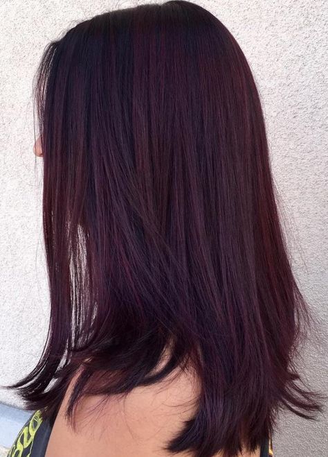 Borgoña oscura y pelo violeta                                                                                                                                                                                 Más Pelo Color Borgoña, Pelo Color Vino, Red Violet Hair, Dark Red Hair Color, Maroon Hair, Rambut Brunette, Dark Purple Hair, Plum Hair, Brown Hair Dye