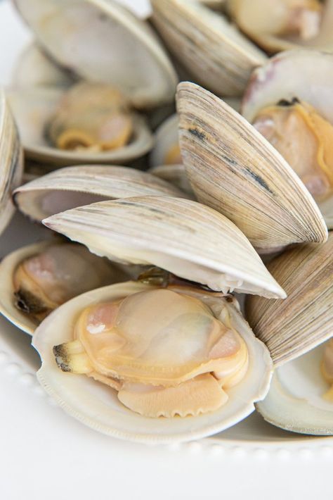 How to Clean Clams - TRULY gets the sand and gunk out of the inside | How to cook clams, Clam recipes, How to clean clams Clams On Grill, Cleaning Clams How To, Cooking Clams Recipes, Clam Broth Recipes, How To Clean Clams Before Cooking, Manila Clams Recipe, Steam Clams Recipe, How To Cook Clams In Shell, Mussels And Clams Recipe