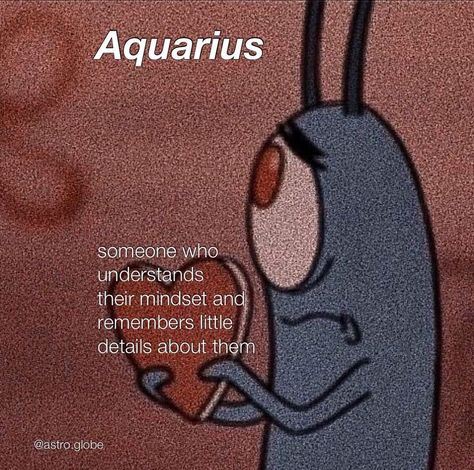 Aquarius Animal, Aquarius Astrology, Aquarius Moon Sign, Aquarius Aesthetic, Aquarius Season, Aquarius Sign, Aquarius Life, Aquarius Quotes, Aquarius Truths