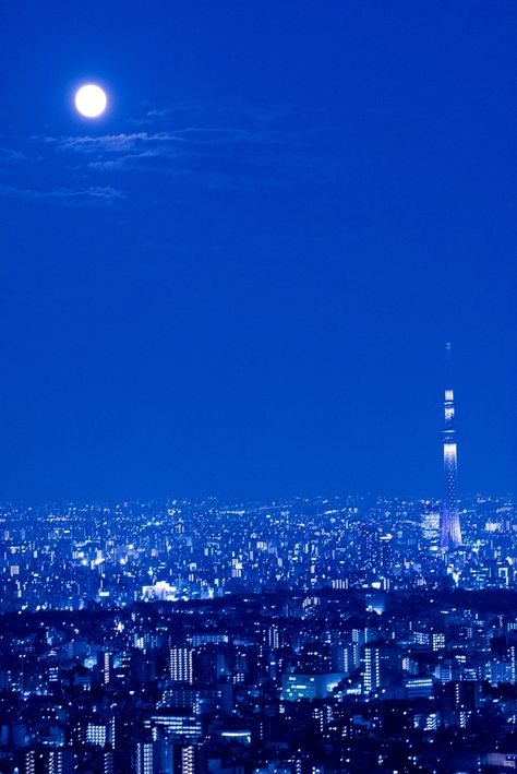 Blue Tokyo, Night Scape, Rhapsody In Blue, Tokyo Skytree, Heal Yourself, Tokyo Tower, Scandinavian Interior Design, Super Moon, Feeling Blue