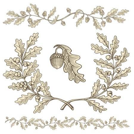 Oak Leaf Tattoos, Acorn Drawing, Oak Wreath, Drawing Leaf, Clip Art Pictures, Acorn And Oak, Leaf Illustration, Free Vector Illustration, Leaf Drawing