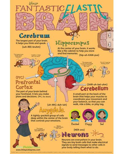 Fantastic Elastic Brain Poster. Love this! There is a book to go with it as well. | #mindcrowd #tgen #alzheimers www.mindcrowd.org Brain Poster, Mindset Poster, Brain Based Learning, Conscious Discipline, Brain Learning, Brain Facts, The Human Brain, Whole Brain Teaching, Brain Gym