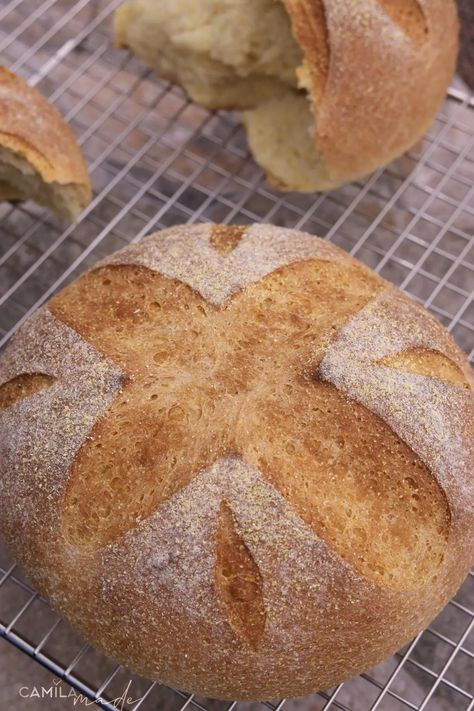 Pan de Maiz, also known as “Bread with Cornmeal,” is a unique and flavorful bread that has been enjoyed for generations in many parts of the world. This bread is made by combining Cornmeal, flour, salt, sugar, and yeast to create a dough that is dense, hearty, and slightly sweet with a nutty flavor. Its traditional roots can be traced back to regions of South America, where it is known as Pan de Maiz and is a staple in many households. Cornmeal Bread Recipe, Cornmeal Bread, Communion Bread, Baguette Bread, Yeast Breads, Make Bread, No Rise Bread, Types Of Bread, Yeast Bread