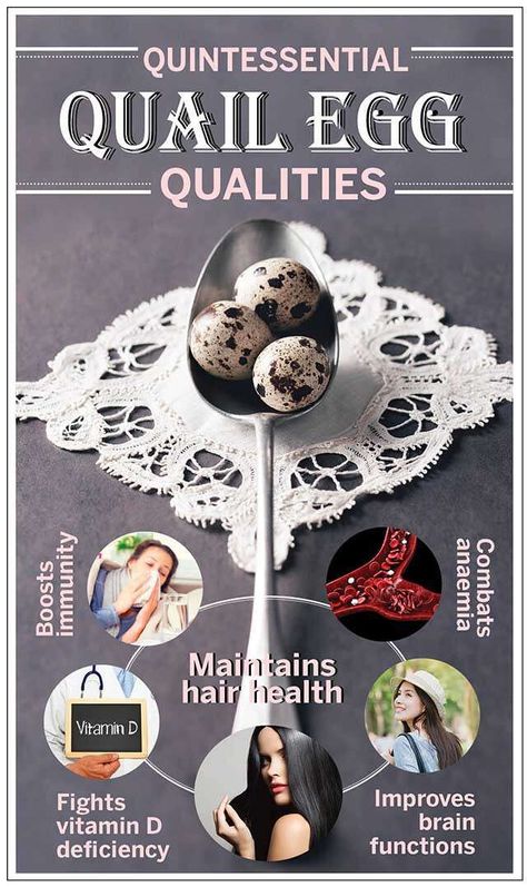 Quail Eggs Benefits, Eggs Packaging, Brain Vitamins, Raising Quail, Egg Benefits, Broiler Chicken, Fruit Health, Egg Packaging, Quails