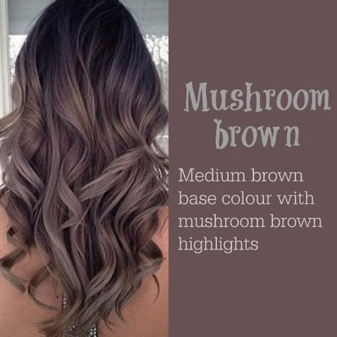 Mushroom Brown Highlights, Mushroom Hair, Mushroom Brown, Latest Hair Color, Winter Hair Color, Brown Highlights, Brown Blonde Hair, New Hair Colors, Hair Color Balayage