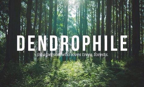 Dendrophile - Person who loves trees, forests.   Apparently I am a dendrophile. Citation Nature, Uncommon Words, Word Nerd, Weird Words, Unusual Words, Rare Words, Word Definitions, Tall Trees, Unique Words