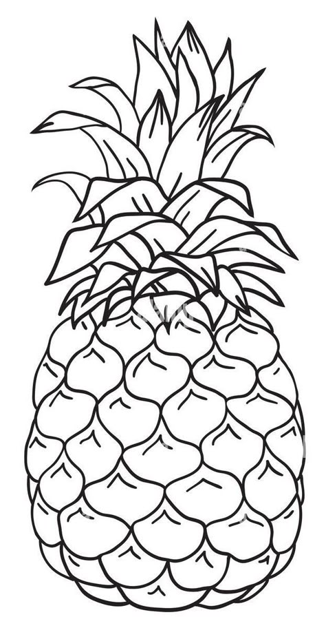 Pineapple Tattoo Outline, Pineapple Outline Drawing, Outline Drawings For Colouring, Pineapple Outline, Fruit Outline, Pineapple Sketch, Colouring Templates, Pineapple Template, Hibiscus Flower Drawing