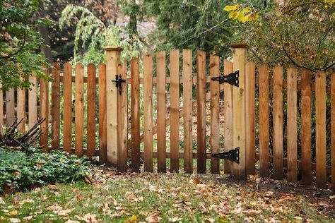 Picket Fence Gate, Dog Ear Fence, Wood Fence Gates, Wood Picket Fence, Fence Picket, Fence Gate Design, Picket Fences, Fence Doors, Fence Garden