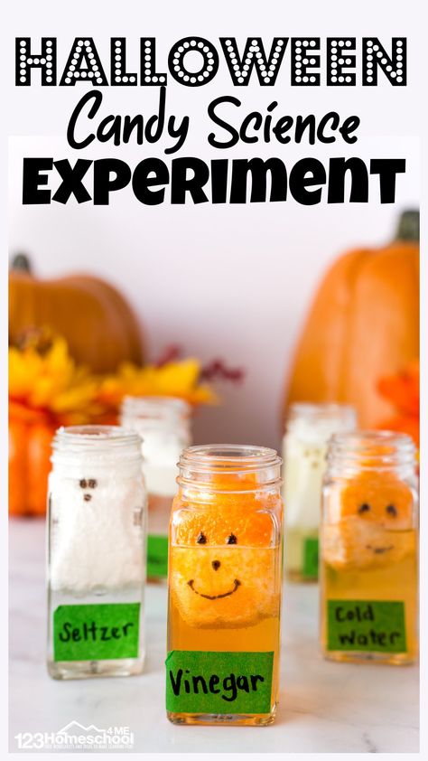 Pumpkin Science Experiment, Halloween Experiments, Pumpkin Math Activities, Candy Science Experiments, Halloween Science Activities, Spooky Science, Candy Experiments, Pumpkin Science, Candy Science