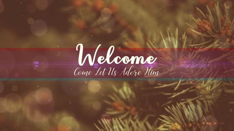 Welcome To Church, Church Background, Church Backgrounds, Motion Background, December Christmas, Motion Backgrounds, Video Clip, Stock Footage, Royalty Free