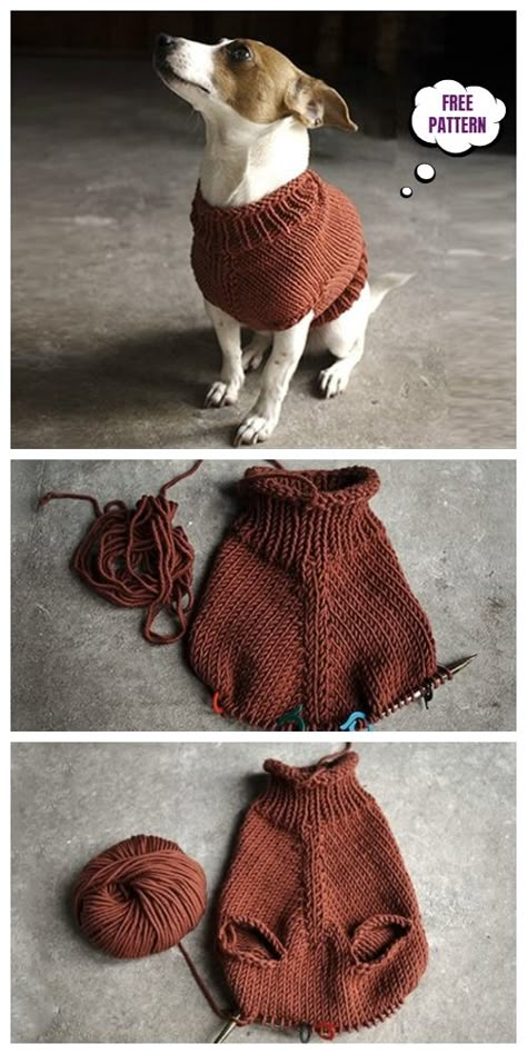 Knit The Juno Dog Jumper Free Knitting Pattern Corak Krusye, Projek Mengait, Sock Blockers, Knitted Dog Sweater Pattern, Knitted Dog Sweater, Knitting Patterns Free Dog, Knitted Dog, Dog Sweater Pattern, Easy Knitting Projects