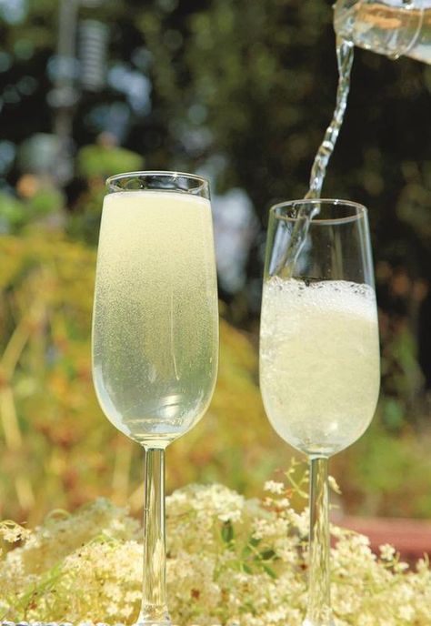 Elderflower Wine, Cottage Community, Elderflower Recipes, Elderflower Champagne, Elderberry Flower, Champagne Recipe, Elderflower Cordial, Perfect Summer Drink, Homemade Wine