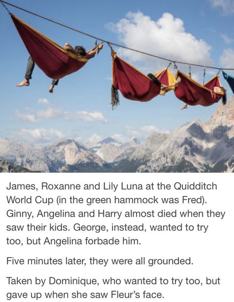 Potter Siblings, Funny Hogwarts, Harry Potter Texts, Harry Potter Colors, Harry Potter Next Generation, Harry Potter New, Harry Potter Puns, Harry Potter Comics, Harry Potter Tumblr