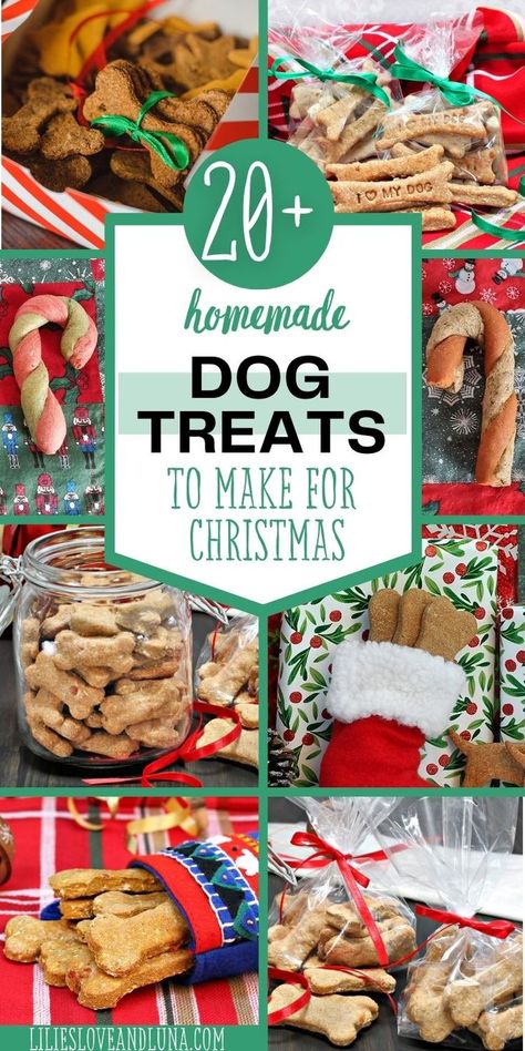 A collage of Christmas dog treats with a text overlay that reads 20+ homemade dog treats to make for Christmas. Homemade Christmas Dog Treats, Dog Treats To Make, Homemade Dog Treats Recipes, Dog Treats Recipes, Holiday Dog Treats, Dog Cookie Recipes, Homemade Pet Treats, Pet Treats Recipes, Christmas Dog Treats