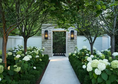 Beautiful Gardens Landscape, Southern Garden, White Hydrangeas, Have Inspiration, Greek Revival, Seasonal Garden, White Gardens, Garden Gates, Landscape Architect