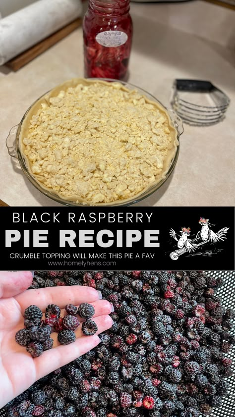 Black Raspberry Crisp, Black Raspberry Pie Recipe, Fresh Black Raspberry Recipes, Black Raspberry Pie Filling, Raspberry Pie Filling Recipes, Black Raspberry Cobbler, Black Raspberry Recipes, Pie Crumble Topping, Black Raspberry Pie